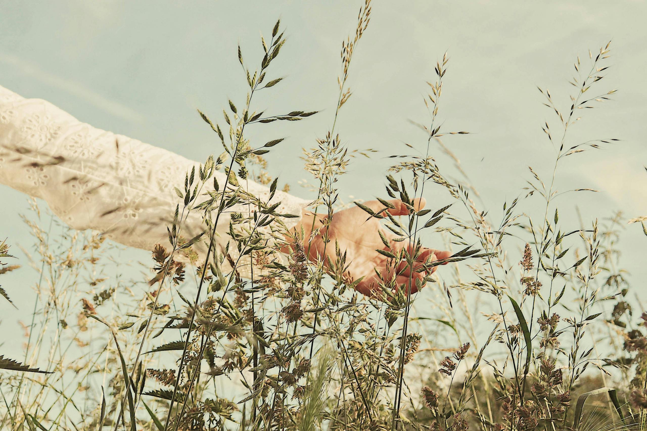 A hand gently touches grasses in a bright wheat field under a vivid sky, embodying peace and nature's calm.