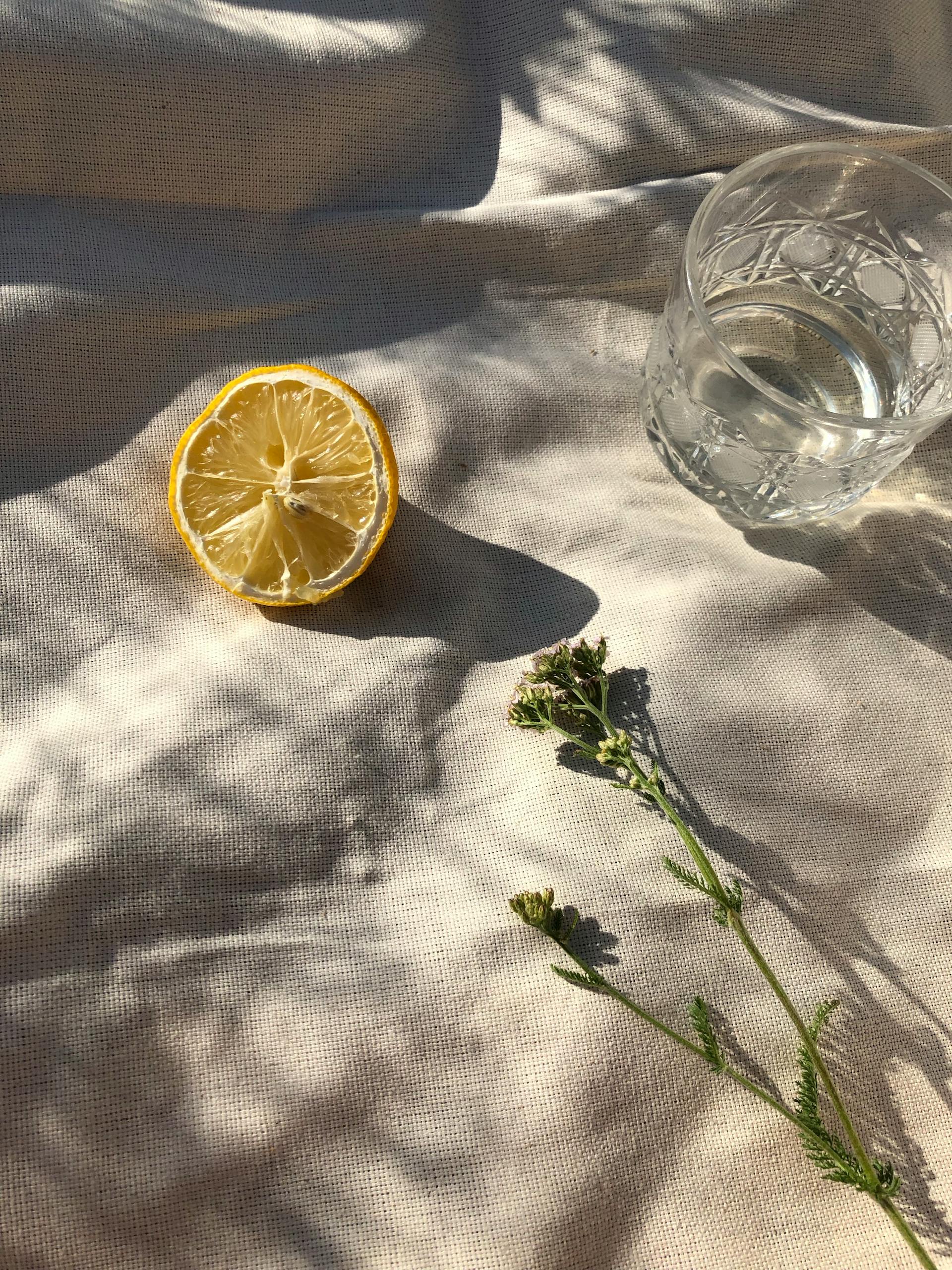 A minimalist still life photo featuring a lemon half, glass of water, and wildflowers in sunlight.
