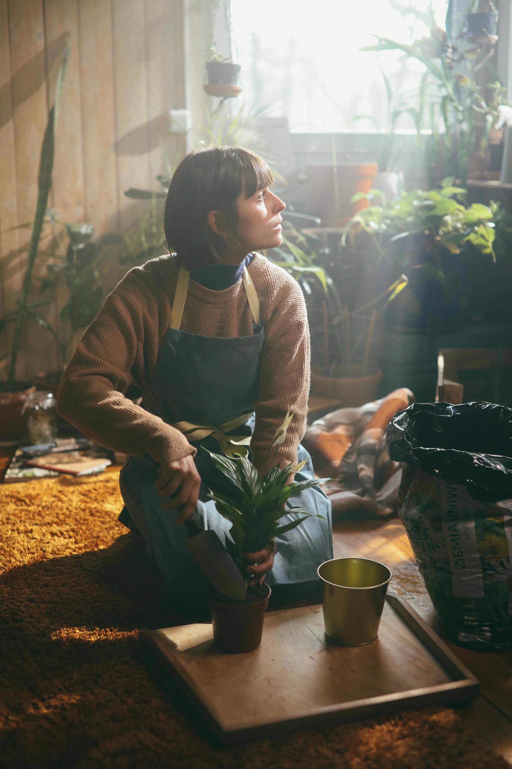 Woman enjoys indoor gardening with a peace lily in a cozy, sunlit room.